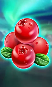 Winterberries